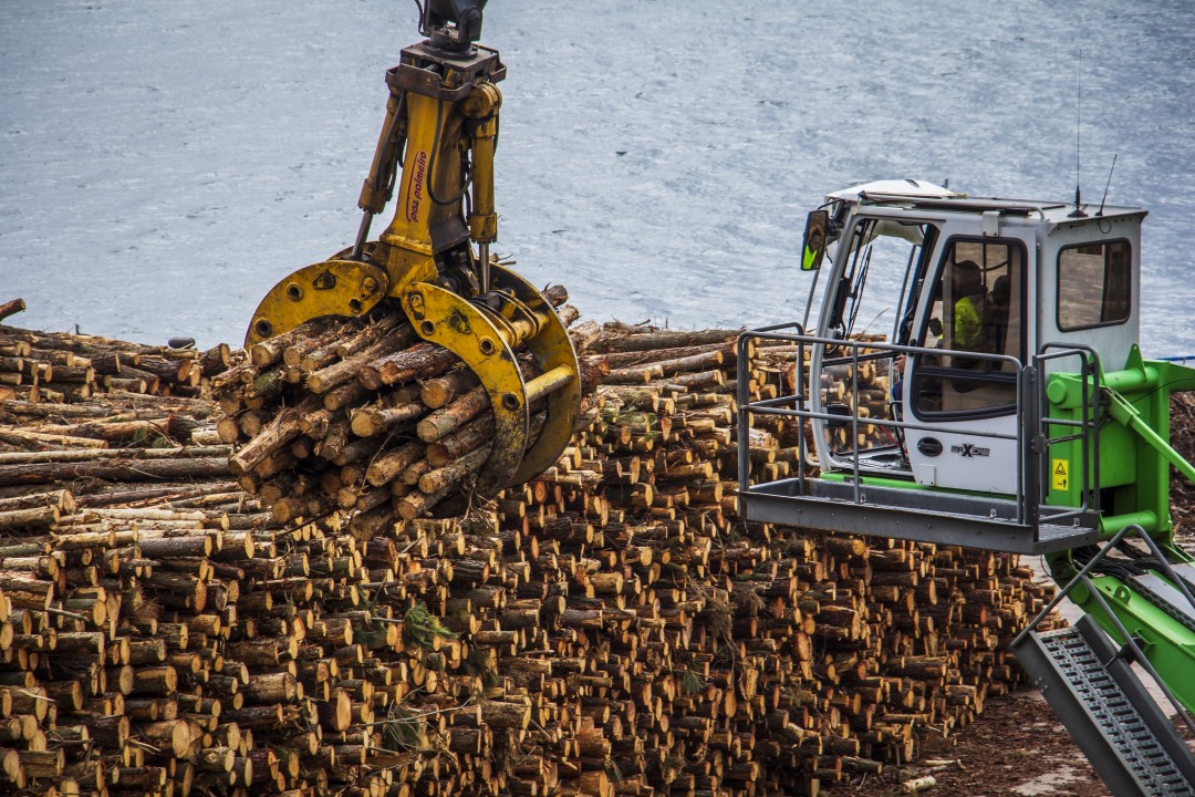 Moviendo madera en el puerto
